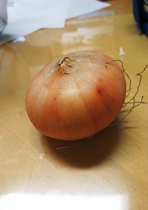 玉ねぎのかわむき-レシピのメイン写真