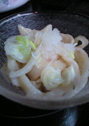 さっぱり♪梅じそ手打ちうどん-レシピのメイン写真