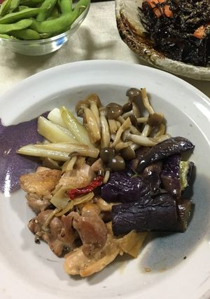 ナスと鶏もも肉の生姜煮-レシピのメイン写真