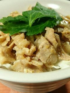さっぱりきゃべつの生姜焼丼-レシピのメイン写真