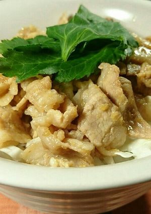 さっぱりきゃべつの生姜焼丼-レシピのメイン写真