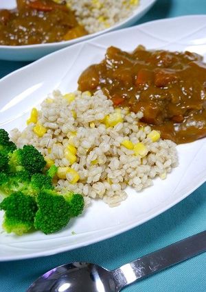 血糖値上昇対策！麦ごはんカレー-レシピのメイン写真