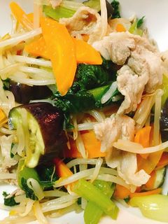 豚肉・もやし・ちんげん菜・茄子・人参炒め-レシピのメイン写真