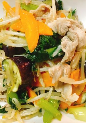 豚肉・もやし・ちんげん菜・茄子・人参炒め-レシピのメイン写真