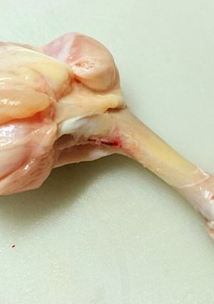 手羽元チューリップの作り方-レシピのメイン写真