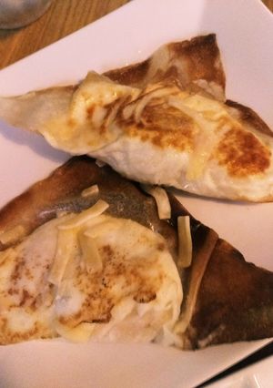 かわりダネ餃子-レシピのメイン写真