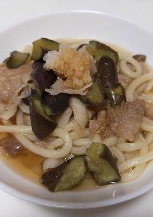 豚と茄子の温か冷涼うどん-レシピのメイン写真