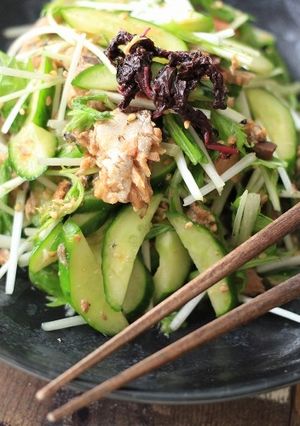 味付なしの混ぜるだけ！水菜と鯖の梅肉和え-レシピのメイン写真