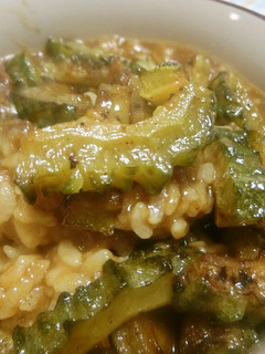 和風カレー(鶏肉、焼きゴーヤ入り)-レシピのメイン写真