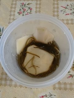 かぶのさっぱり漬-レシピのメイン写真