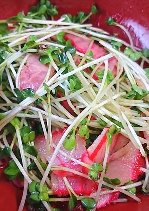 くじらベーコンかいわれのおつまみ-レシピのメイン写真