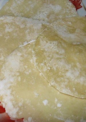 ～餃子の皮✿簡単だから手作りしましょ～-レシピのメイン写真