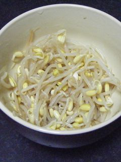 もやしのナムル-レシピのメイン写真