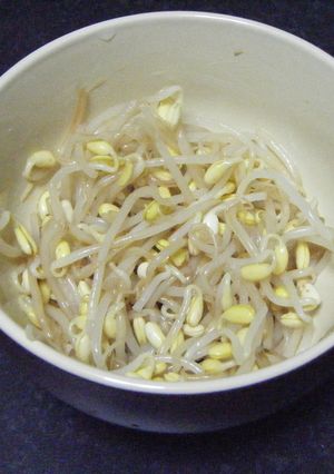 もやしのナムル-レシピのメイン写真
