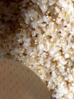 おいしい玄米ご飯の炊き方-レシピのメイン写真