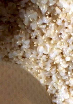おいしい玄米ご飯の炊き方-レシピのメイン写真
