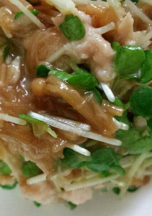 ☆ご飯のお供に☆なめ茸かいわれ-レシピのメイン写真