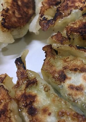 ざっくり鶏餃子-レシピのメイン写真