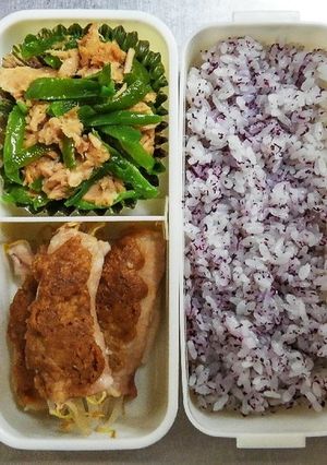 9月9日私のお弁当-レシピのメイン写真