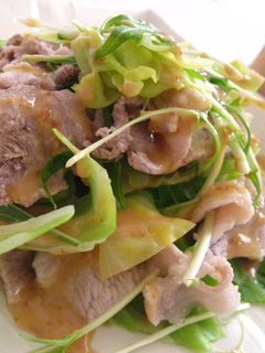 【金のごまだれ】キャベツと豚肉のサラダ-レシピのメイン写真