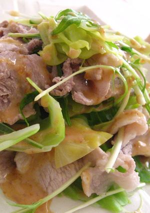 【金のごまだれ】キャベツと豚肉のサラダ-レシピのメイン写真