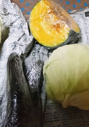 色んな野菜保存-レシピのメイン写真