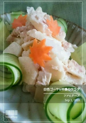 白色ゴーヤと林檎のサラダ-レシピのメイン写真