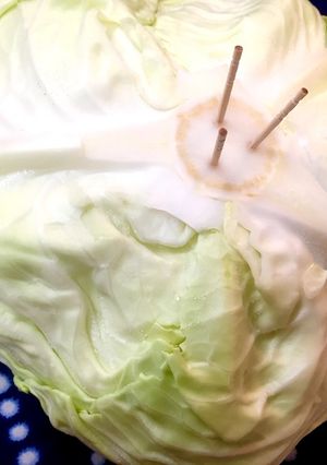 野菜の保存方法-レシピのメイン写真