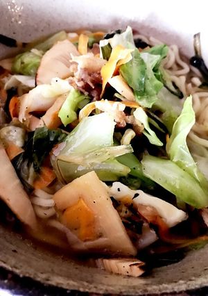 天日干しした乾燥肉&野菜で!野菜ラーメン-レシピのメイン写真