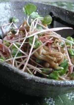 蕎麦の芽と山葵なめ茸和え-レシピのメイン写真