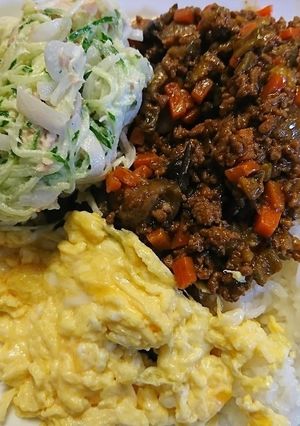 偶然できたウマ挽き肉炒め(上部の茶色)-レシピのメイン写真