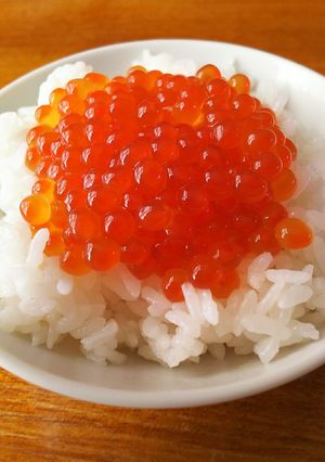 今年もやっぱりいくらのしょう油漬け!-レシピのメイン写真