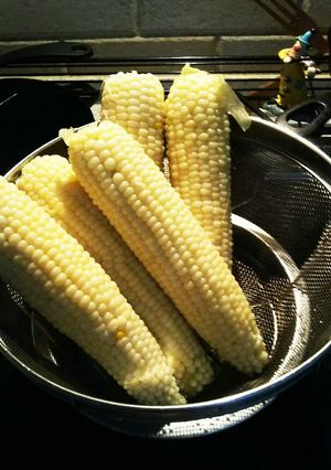 美味しいとうもろこしのゆで方-レシピのメイン写真