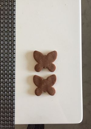 グルテンフリー♡サクサクココアクッキー-レシピのメイン写真