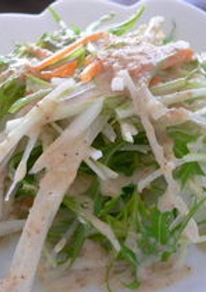水菜と大根のサラダ　ごまダレかけ-レシピのメイン写真