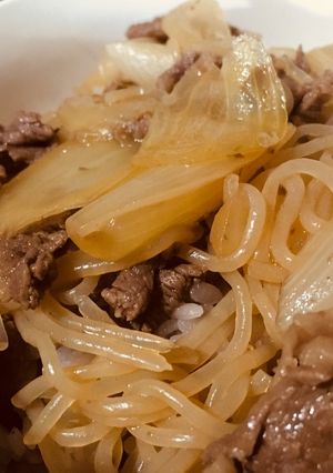 かさまし牛丼-レシピのメイン写真
