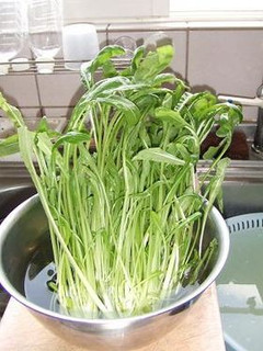 しおれている青菜の再生-レシピのメイン写真
