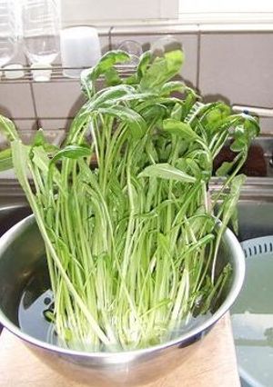 しおれている青菜の再生-レシピのメイン写真
