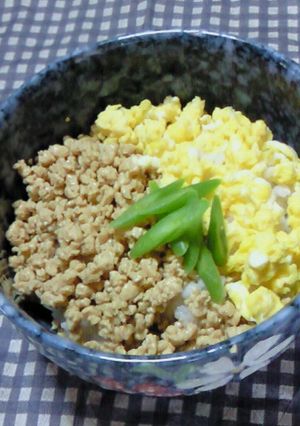 節約ヘルシー♪豆腐のそぼろ丼-レシピのメイン写真