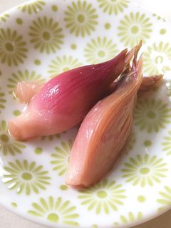 ミョウガの酢漬け〜無添加-レシピのメイン写真