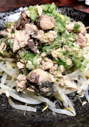 本当の糖質オフ★鯖ツナの胡瓜もやしサラダ-レシピのメイン写真
