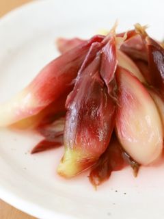 箸休め♪白梅酢+砂糖で茗荷の甘酢漬け-レシピのメイン写真