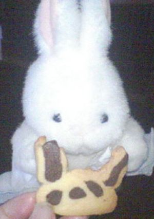 ☆うさぎちゃんのクッキー☆-レシピのメイン写真