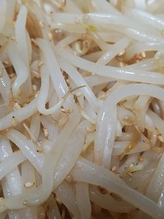 超簡単もやしナムル-レシピのメイン写真