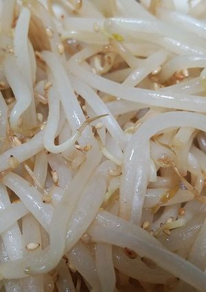 超簡単もやしナムル-レシピのメイン写真