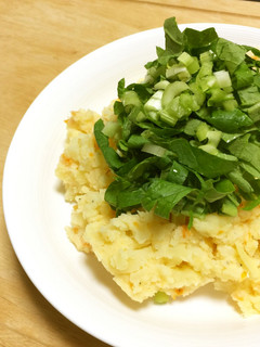 完熟黄色ゴーヤのポテトサラダ-レシピのメイン写真