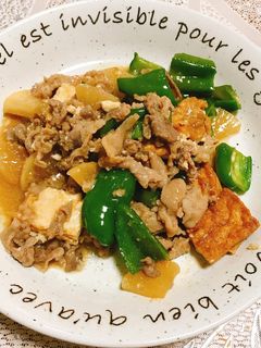 豚肉と厚揚げ大根ピーマンの胡麻味噌炒め☆-レシピのメイン写真