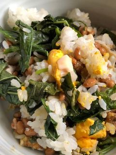 納豆とモロヘイヤの卵入りまぜご飯-レシピのメイン写真