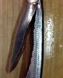 秋刀魚のお刺身☆無駄なし超簡単な捌き方