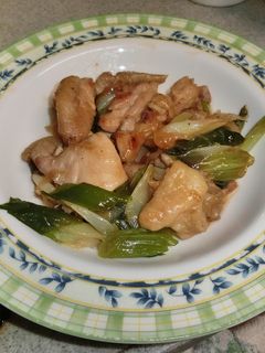 鶏肉と長ねぎの炒め物-レシピのメイン写真